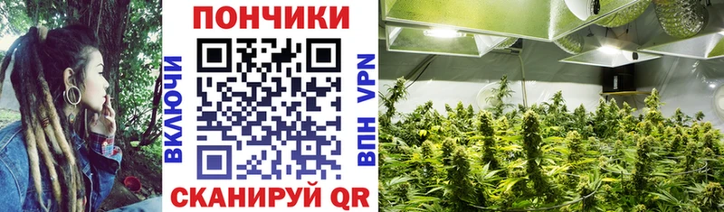 Какие есть наркотики Калачинск Канабис  Бутират  ГАШ 