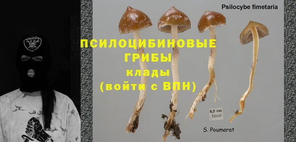 гашик Алексеевка