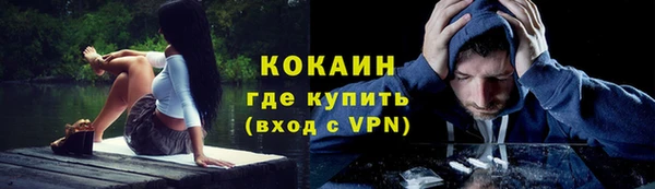 ПСИЛОЦИБИНОВЫЕ ГРИБЫ Армянск