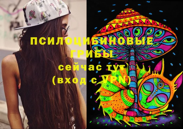ПСИЛОЦИБИНОВЫЕ ГРИБЫ Армянск