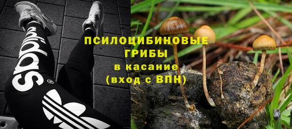 прущий лед Аркадак